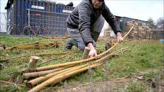 Barrière en branches de saule tressées cest gratuit  TUTO [upl. by Strephon]