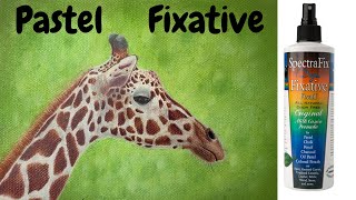 Spectrafix Pastel Fixative Review  How To Keep Pastel From Coming Off [upl. by Hocker]