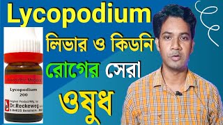 lycopodium homeopathic medicine  লাইকোপোডিয়াম হোমিওপ্যাথিক মেডিসিন  lycopodium 200 [upl. by Saks493]