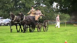 Tabe Annema drives cones at the Helmingham Hall Concours DAttelage [upl. by Nanam]