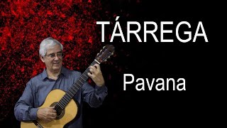 Edson Lopes plays TÁRREGA Pavana [upl. by Satsoc181]