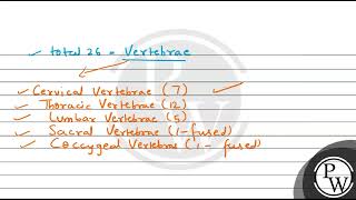 Which vertebra articulates with the occipital condyles [upl. by Irabaj]