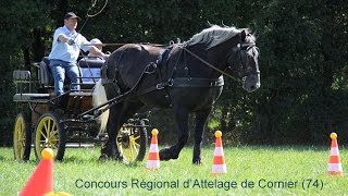 Concours Régional dAttelage de Cornier 74 [upl. by Odrahcir]