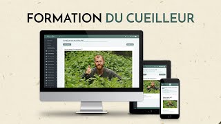 Formation en ligne du Cueilleur  cueillette Cuisine Herboristerie [upl. by Keon]