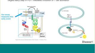 Target to Phenotype Tools to Accelerate Your ImmunoOncology Drug Pipeline [upl. by Leia]