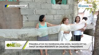 One North Central Luzon Pinagbalatan ng dambuhalang sawa nagdulot ng takot sa mga residente [upl. by Siuqaj]