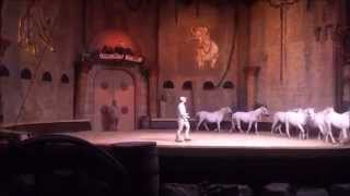 Bowmanville Zoo Animal Circus show [upl. by Ardyth483]