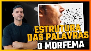 Estrutura das palavras os morfemas do português português morfema estruturadepalavras [upl. by Liakim]