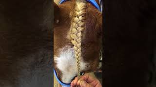 How To Braid a Forelock [upl. by Elata231]