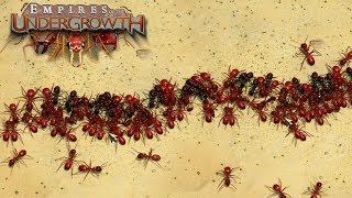 THE GREAT ANT WAR  Empires of the Undergrowth BETA Gameplay  Ep3 [upl. by Possing501]