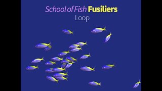 Fusiliers School Fish [upl. by Rofotsirk]