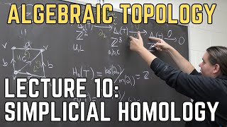 Algebraic Topology 10 Simplicial Homology [upl. by Lilas737]