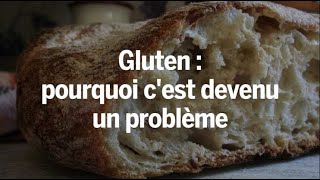 Gluten  pourquoi cest devenu un problème [upl. by Yadseut466]