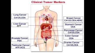 Tumor Markers  alpha fetoprotein betahCG amp CA125 [upl. by Favata432]