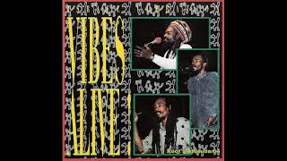 Israel Vibration  Vultures  Vibes Alive [upl. by Yesnikcm566]