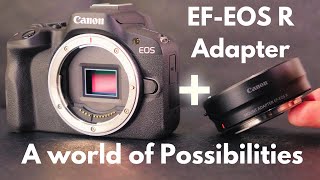 My 5 Favourite Canon EF Lenses with photo examples [upl. by Sacrod]