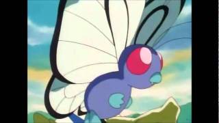 Evolves  Butterfree Latino [upl. by Nnayecats]