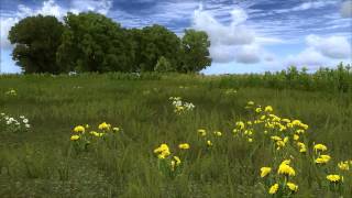 WDS grass and plants preview [upl. by Colier]