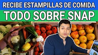 🗣️¡TODO sobre las ESTAMPILLAS de comida o Programa SNAP💸🍎 [upl. by Maegan]