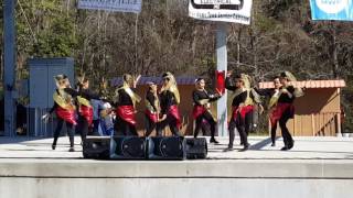 DAYANG DAYANG Muslim Dance by the Claxton Dancers at the Hinesvilles SMALL WORLD FESTIVAL 2017 [upl. by Zitella]