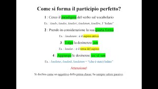 Come si forma il participio perfetto latino La risposta in 4 passaggi  Pillole di Latino [upl. by Supen]