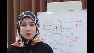 Protein Metabolism Session 16 Aromatic Amino Acids [upl. by Paterson]