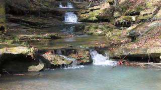 Dismal Hollow Hike  Arkansas [upl. by Emera]