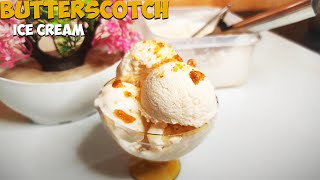 Butterscotch Ice Cream  Easy and Tasty Butterscotch Ice Cream Recipe [upl. by Matusow106]