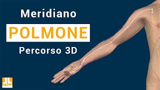 Meridiano del Polmone  Percorso in 3D punto per punto [upl. by Yelrahc]