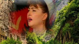 Dava Gjergji  Dasmore sot asht tan Shqipnia Official Video HD [upl. by Parke168]