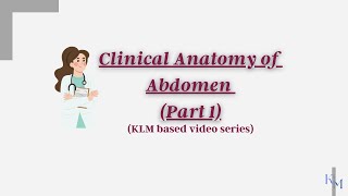 Clinical Anatomy of Abdomen KLM Clinical Anatomy [upl. by Nallaf]