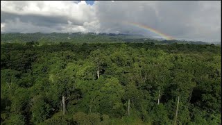 CONABIO 30 años conservando la Biodiversidad Mexicana [upl. by Asim431]