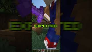 TROLLING SCAMMER ON MY SMP 😮 minecraft [upl. by Sidwel602]