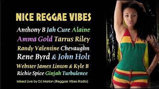 Reggae mixtape feat Reggae Melodies amp Back to the Days Riddim [upl. by Eseenaj]