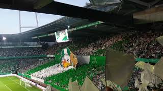 SV Werder Bremen vs FC Bayern München  24042019  DFBPokal Halbfinale  Ostkurve [upl. by Nav646]