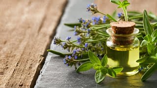 quotThe Incredible Health Benefits of Oregano Oil Revealedquot [upl. by Anyak]