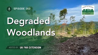 Degraded Woodlands  From the Woods Today  Episode 163 [upl. by Ragde]