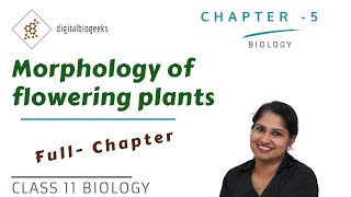 Morphology of Flowering Plants  Class 11 Biology [upl. by Eelyahs120]