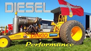 Larsen Diesel Performance 2018  DINGO  Brande DK Haßmoor D [upl. by Shutz]