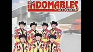 Los Indomables de Cedral  he ganado al perderte [upl. by Niwhsa345]