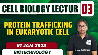 Protein Trafficking in Eukaryotic Cell  Cell Biology Lecture 03  Biotechnology  IIT JAM 2023 [upl. by Epner]