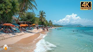 Sanya Hainan🇨🇳 Chinas Southernmost Coastal Tropical City 4K UHD [upl. by Elenahc706]