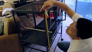 The Best Bird Cage Prevue Pet Hampton Deluxe Divided Breeder Cage Unboxing SetUp amp Review [upl. by Niatsirt]