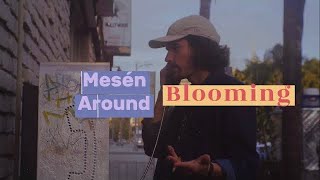 Mesén Around  Blooming Official Music Video [upl. by Nuahsar]