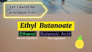 Esterification  reaction between carboxylic acid amp alcohol [upl. by Elleiand583]