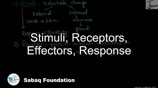 Stimuli Receptors Effectors Response Biology Lecture  Sabaqpk [upl. by Tremml]