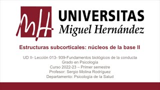 UDII Lec013 Estructuras subcorticales núcleos de la base II Parte 001umh0939 202223 [upl. by Ahslek733]