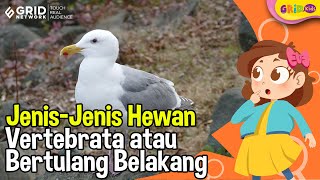 Jenis dan Ciriciri Hewan Vertebrata [upl. by Nev]