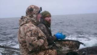 The Eiders amp the Coasters  Eider duck hunt QC Lower North Shore  Waterfowl  Sea Ducks Outfitters [upl. by Nimar]