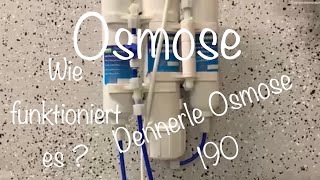 Osmose Anlage  Wie funktioniert sie  Einsteigertipps 10 [upl. by Groeg]